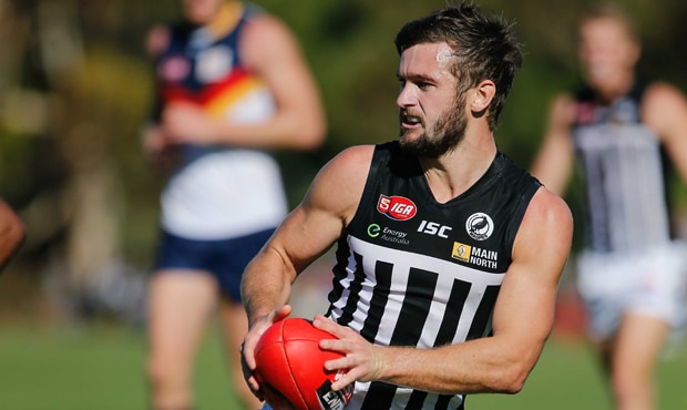 SANFL Preview Port Adelaide V Adelaide Crows At Alberton Oval