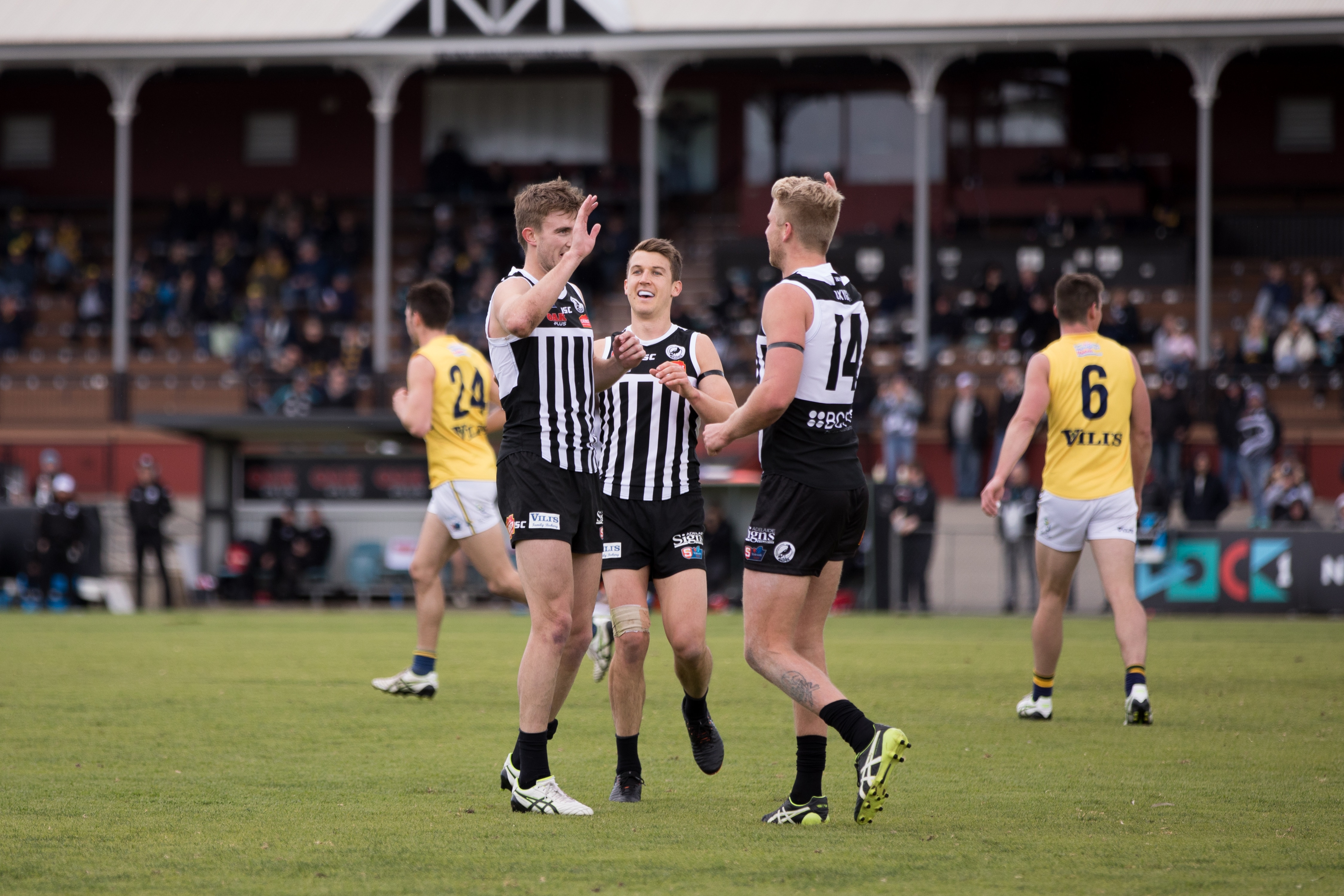 Report Magpies Seal Finals Berth With Big Win Over Eagles