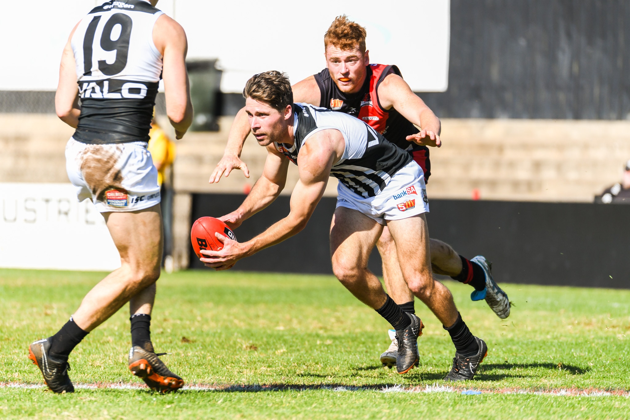 Magpies fall short to Bloods(01)