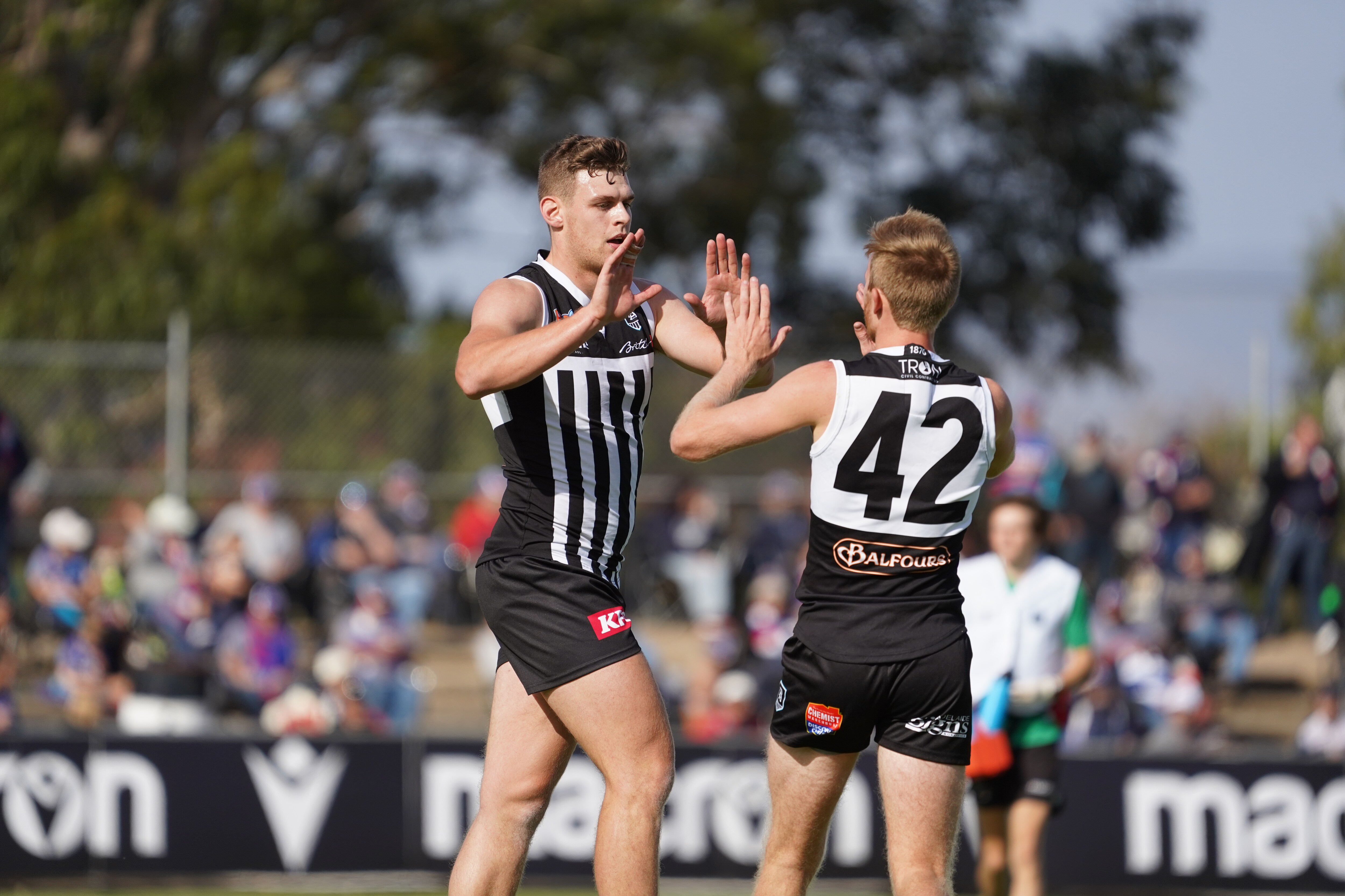 SANFL fixture update: Rounds 7-8