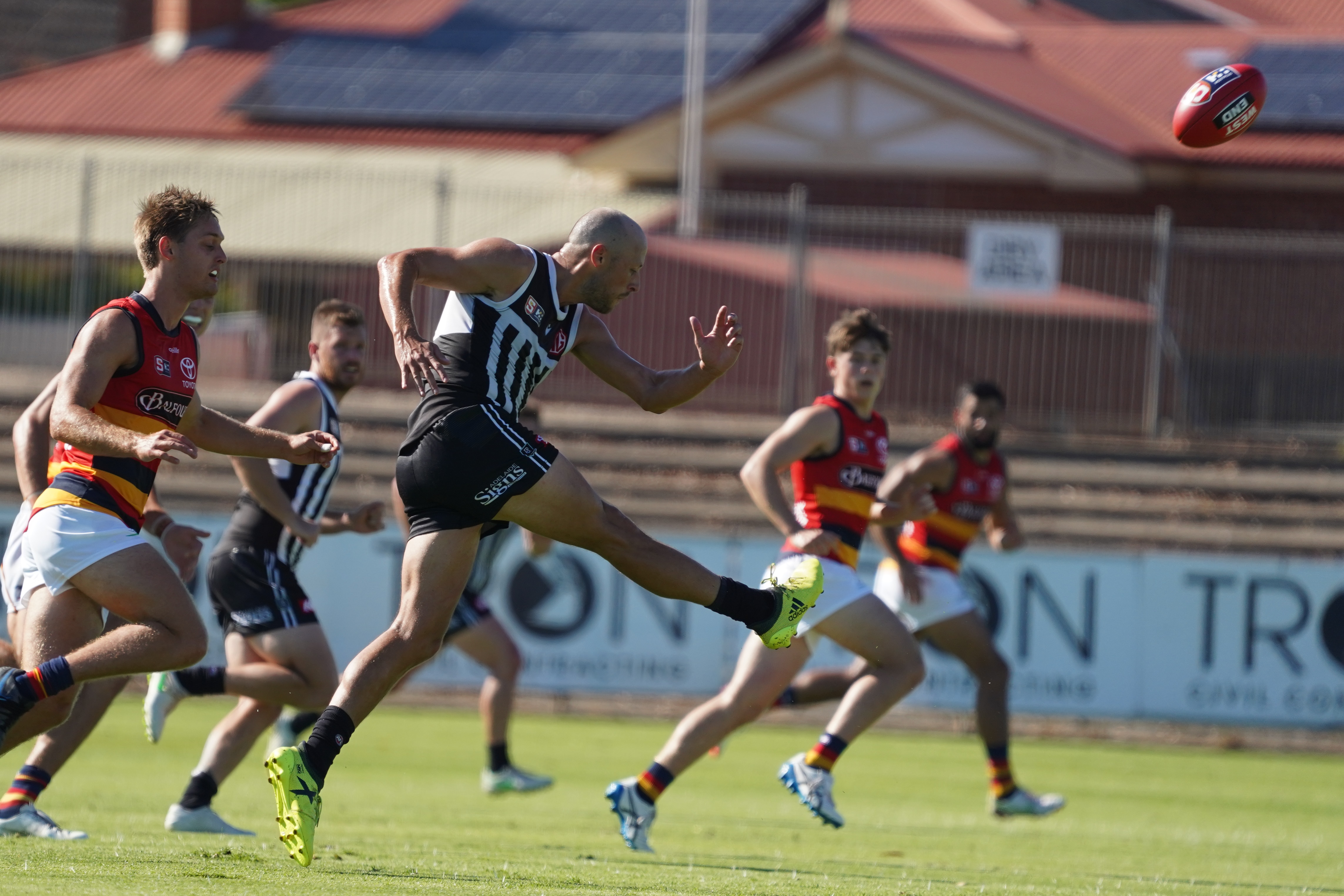 Match Report Magpies fall to Adelaide in final SANFL trial