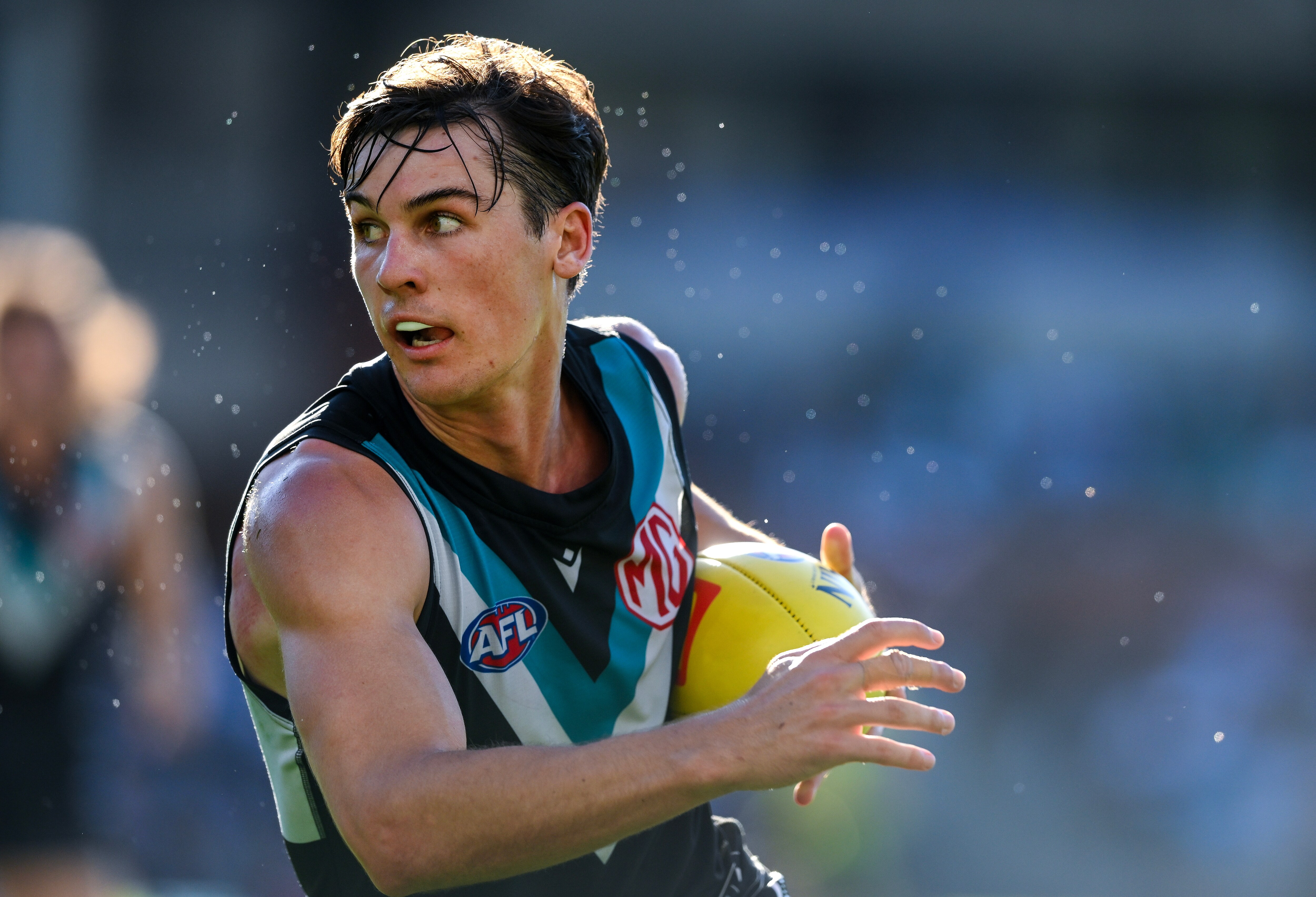 Rozee: Our goals go far beyond Showdown