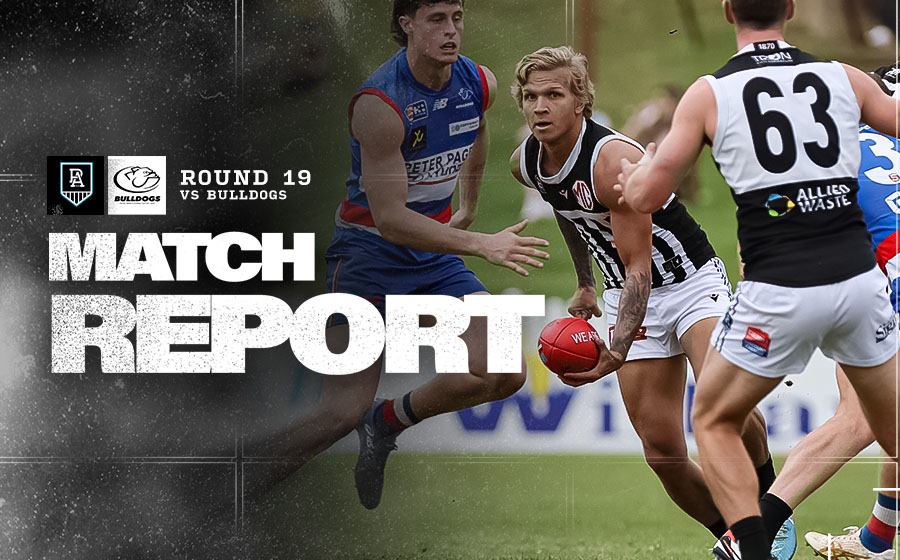 Match report Magpies downed by Dogs(02)