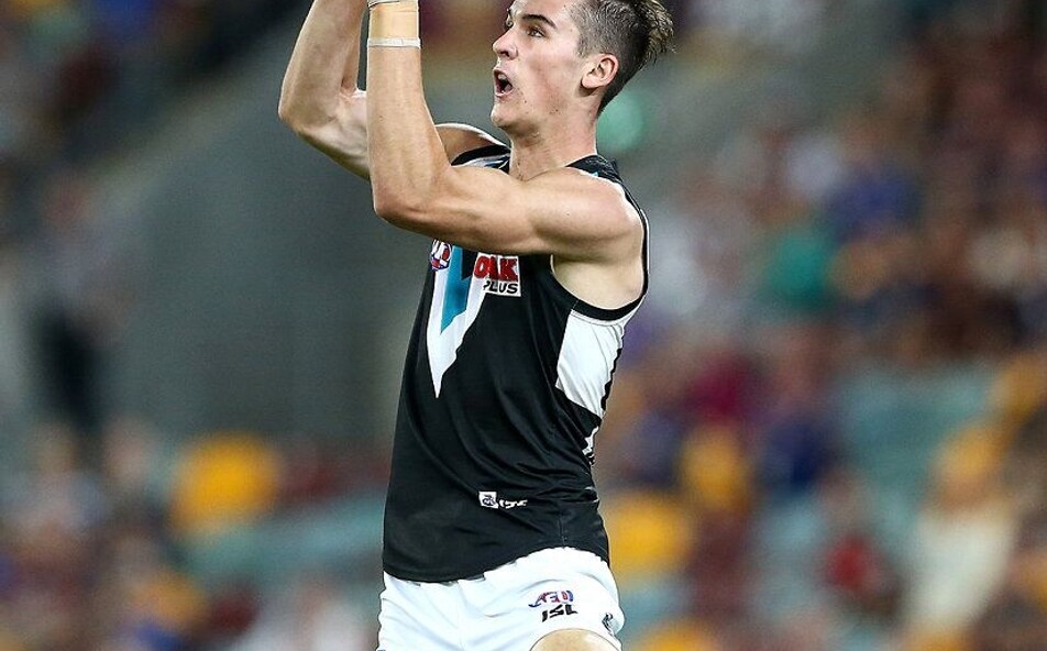 National Praise For Rozee