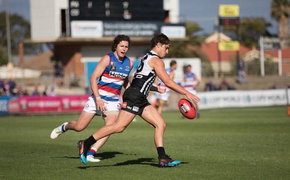 SANFL Preview Magpies Vs Bulldogs