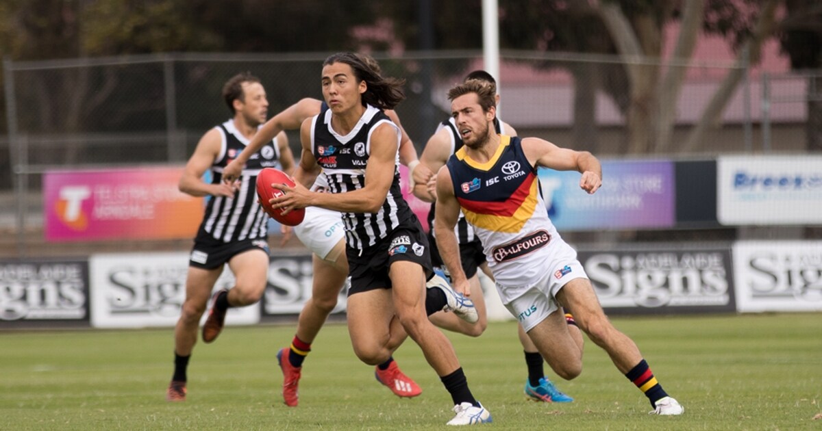 SANFL fast facts Magpies vs Crows