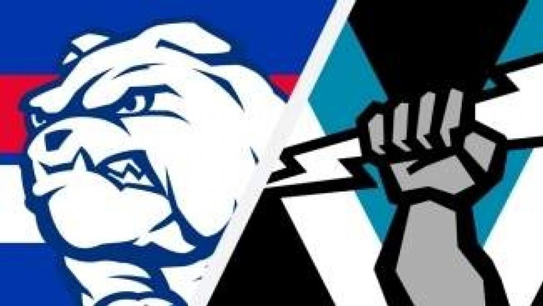 Highlights Western Bulldogs V Port Adelaide Ptv
