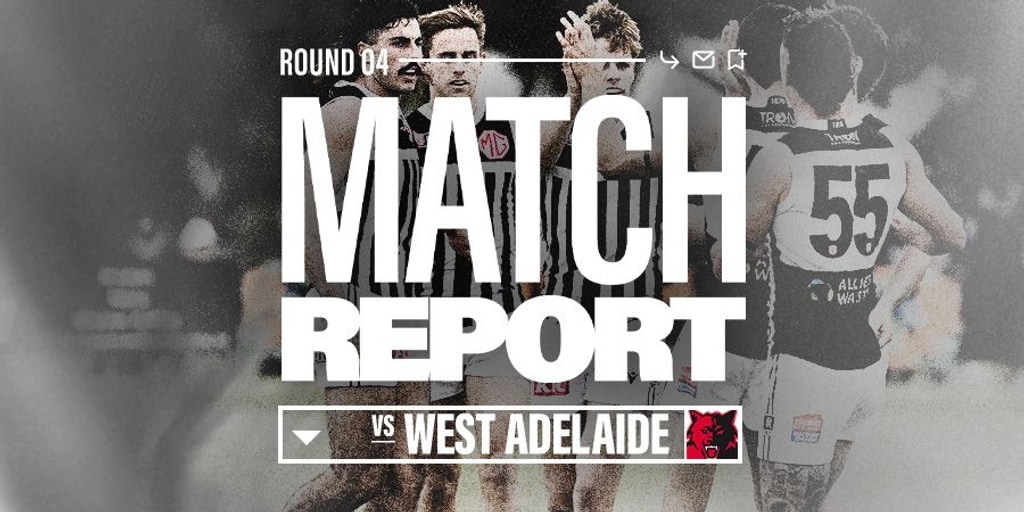 Match report: Injury-hit Magpies hold on in Loxton - Vimarsana News