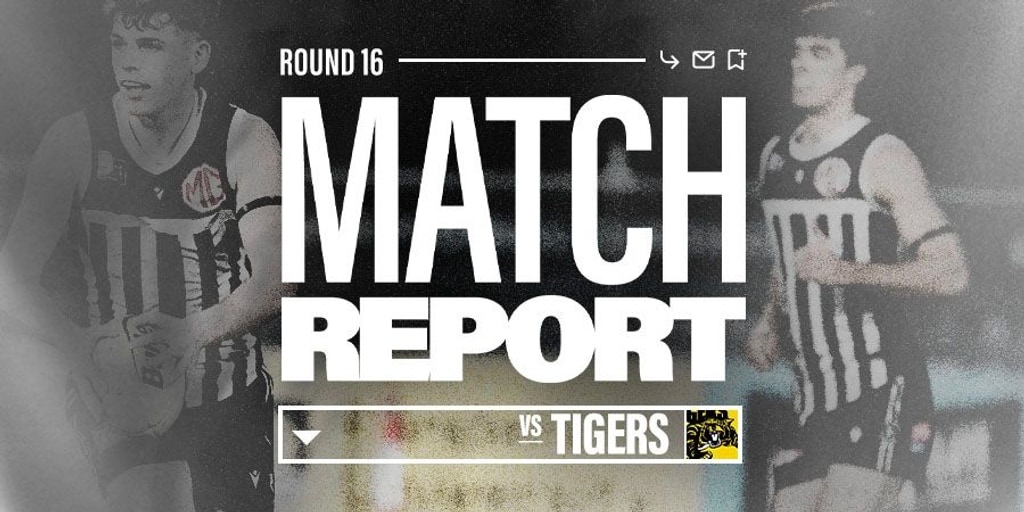 Match report: Gritty Magpies fall just short to top-placed Tigers - Vimarsana News