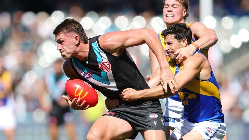 03PAWC26SR03650-COPY