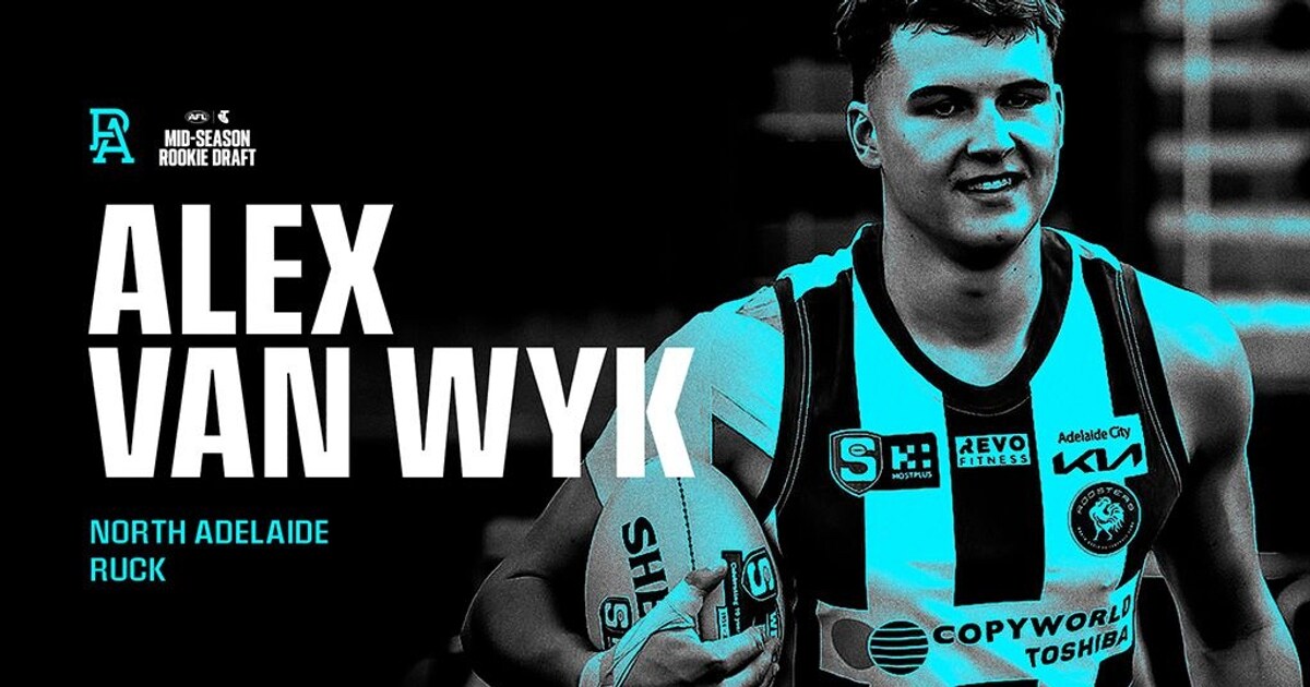 A developing ruck with plenty of promise: Alex van Wyk highlights