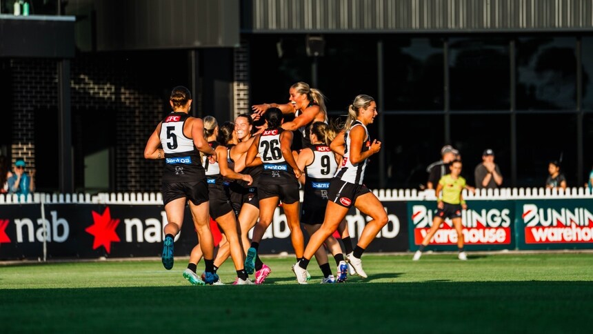 RD11 V Pies-00041
